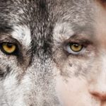 The Call of the Wild (Shamanic Animal Course), 6th & 7th August
