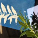 Cyanotype Techniques with Liam Biswell – 15/16 August