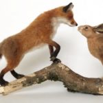 Sculpting Animals from Wool with Mikaela Bartlett, 27th - 30th July 2021