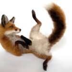 Sculpting Animals from Wool with Mikaela Bartlett - 3rd to 7th August 2026